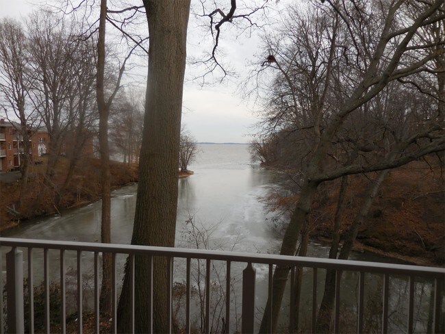 Building Photo - Concord Cove Apartments - 1122-11D