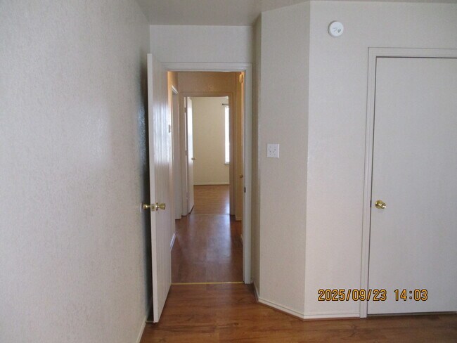 Building Photo - 163 Armadillo Ln
