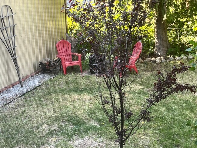 Fire Pit - 372 Sacheen Terrace Dr