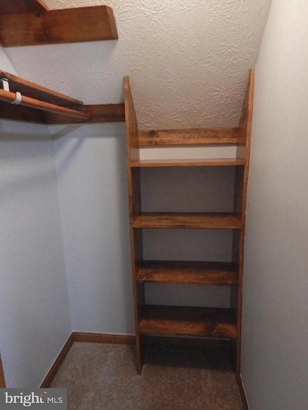 Building Photo - 43974 White Cedar Ln