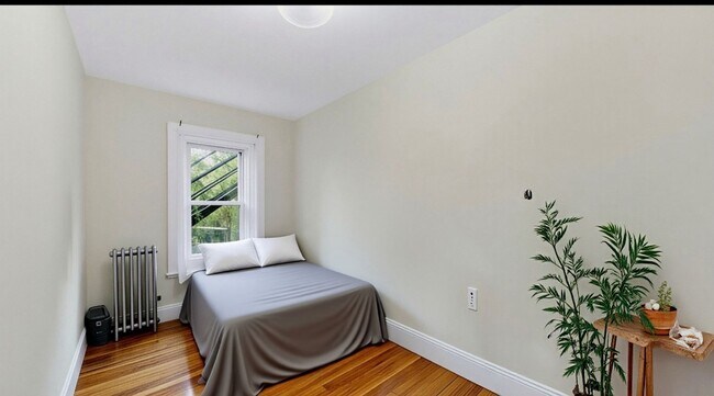 Building Photo - Desirable apartment in Brookline