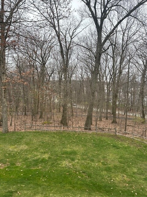 Rear Yard - 411 Lundy Ct