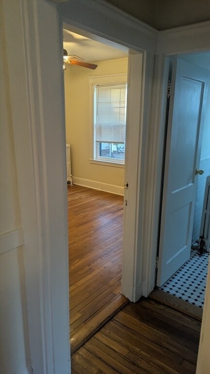 Building Photo - 9 Stedman St