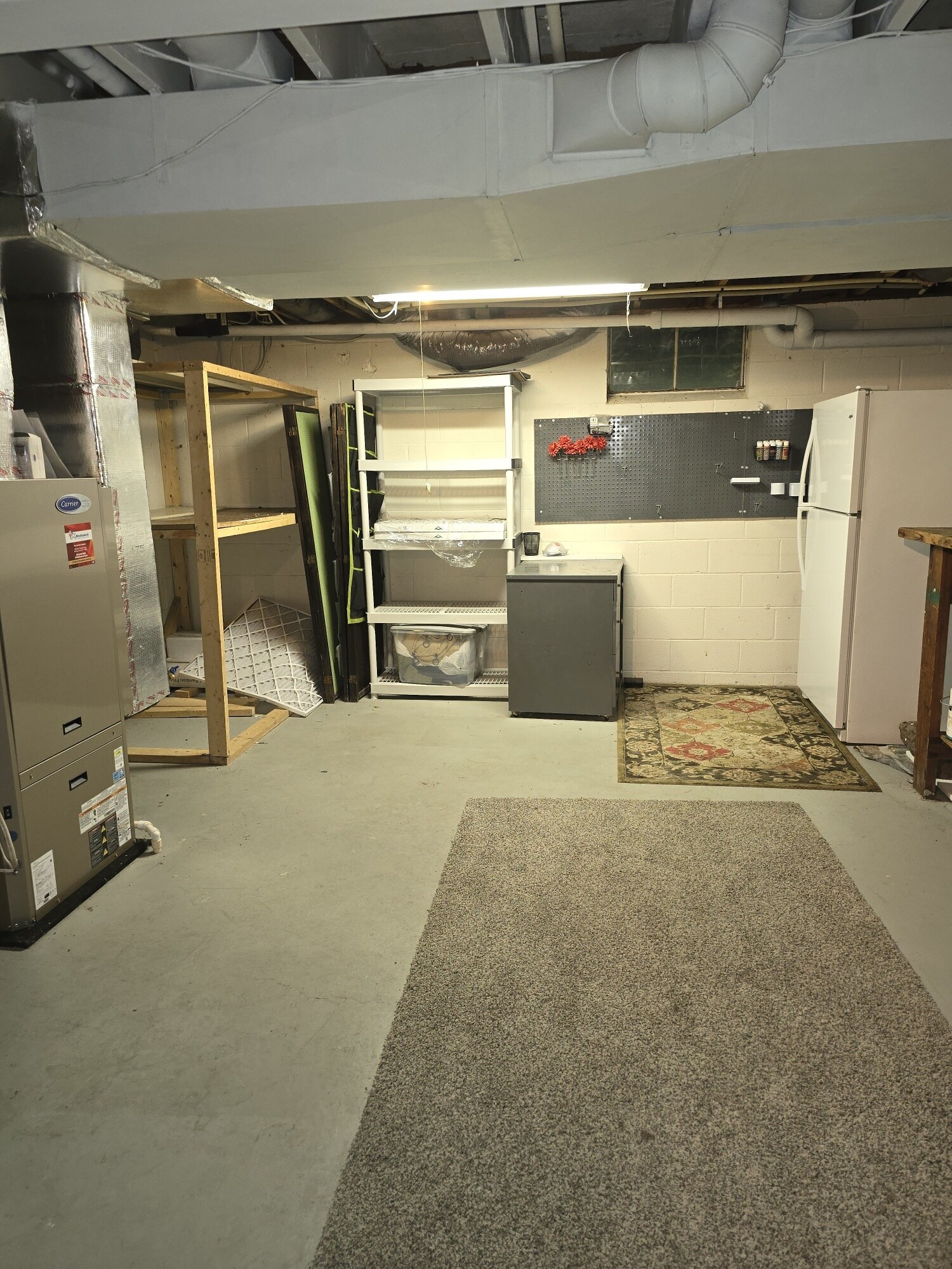 Basement - 176 Primrose Dr