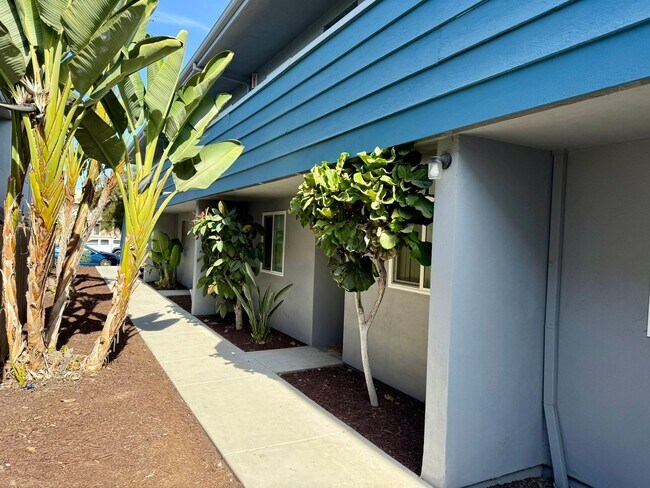 Building Photo - Ride the NEW wave of this 2 bedroom at PacBLU $2,190