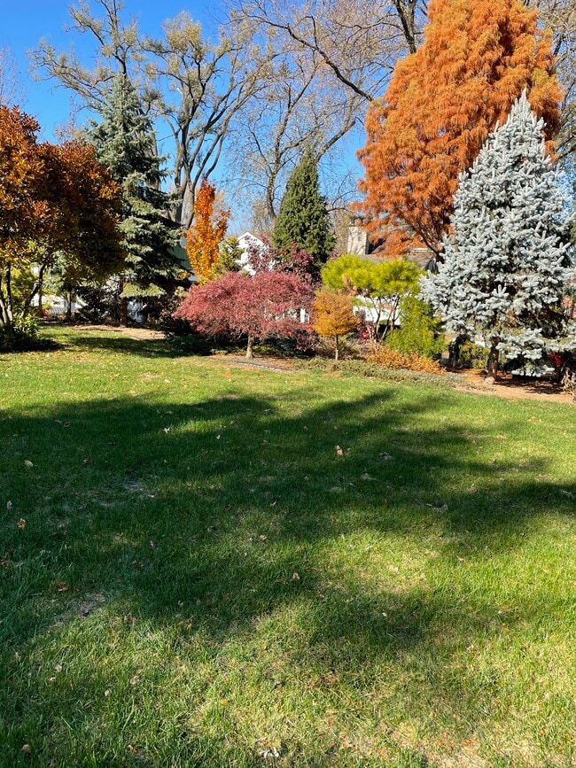 backyard side fall - 1700 N Windsor Dr