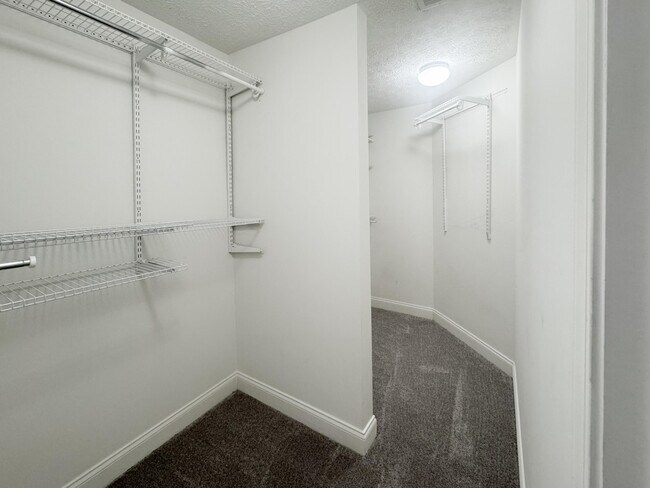 Building Photo - 2529 Moray Pl
