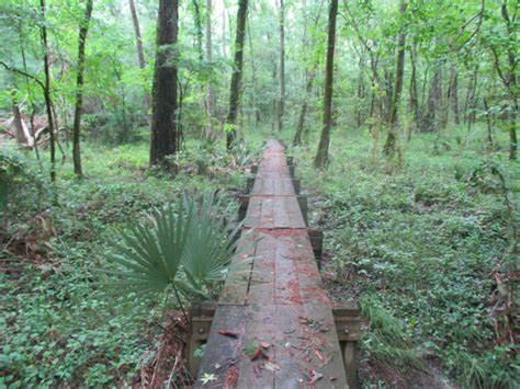 Building Photo - 1430 Natural Pine Trail