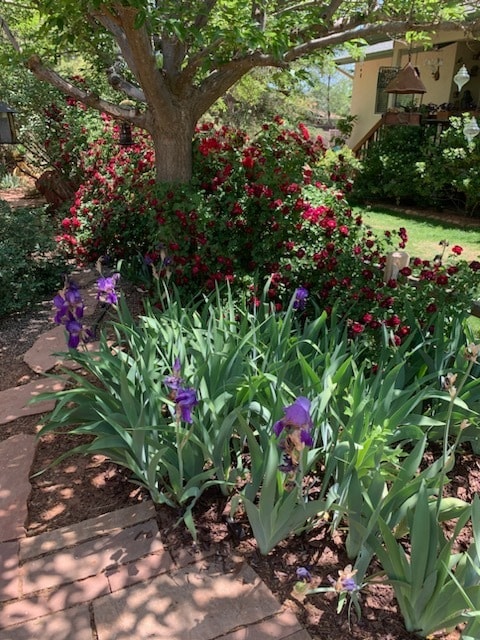 Building Photo - 70 Red Fox Ln