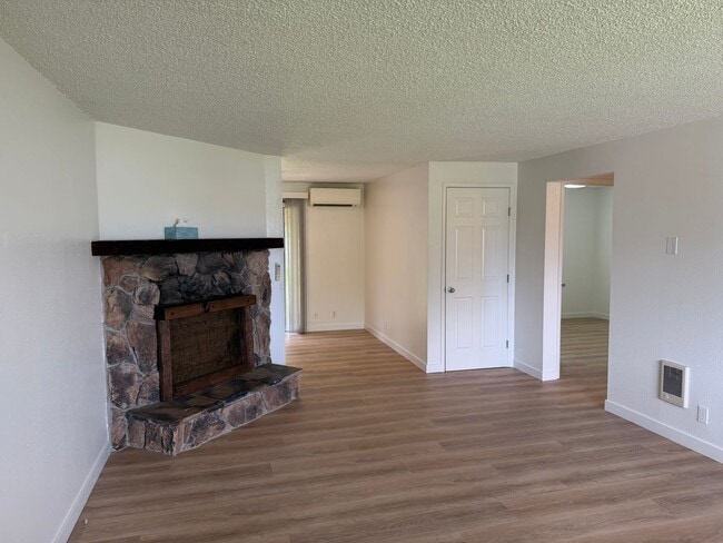 Building Photo - Updated single level 2 bed/1 bath duplex in Thurston!