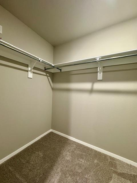 Building Photo - 2006 E Annette Dr