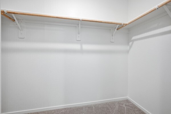 Building Photo - 3037 Fantasy Ter Dr