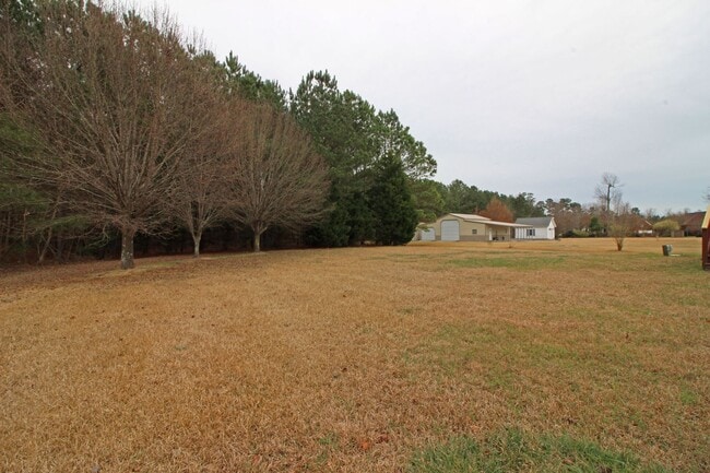 Building Photo - Lane Tree
