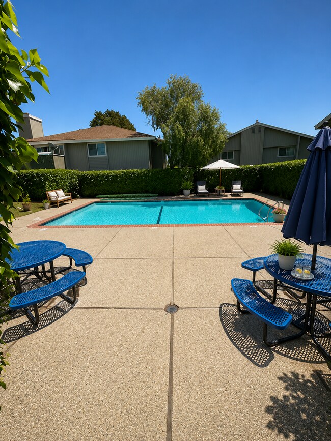 Building Photo - Beautiful 2-Bedroom Apartment in Desirable San Leandro Gated Community, close to BART