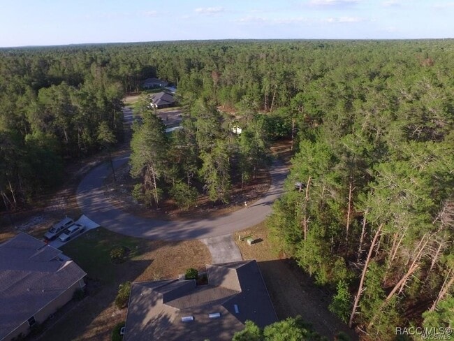 Building Photo - 12 Bellis Ct
