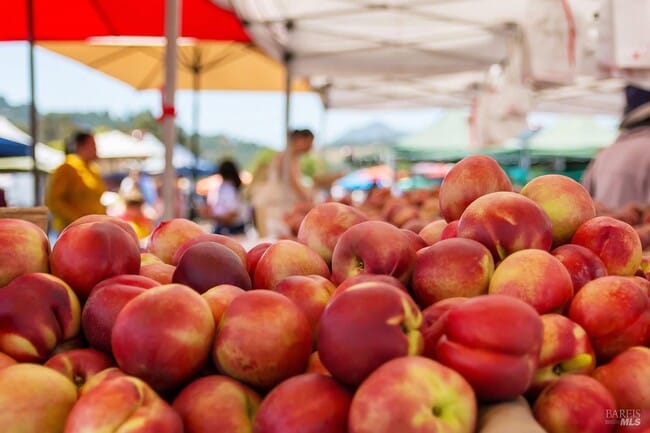 Building Photo - 1100 Bayhills Dr