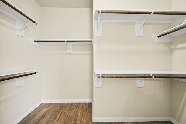 Building Photo - 24806 Pavarotti Pl