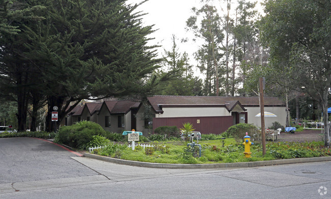 Primary Photo - Woodland Senior Apartments