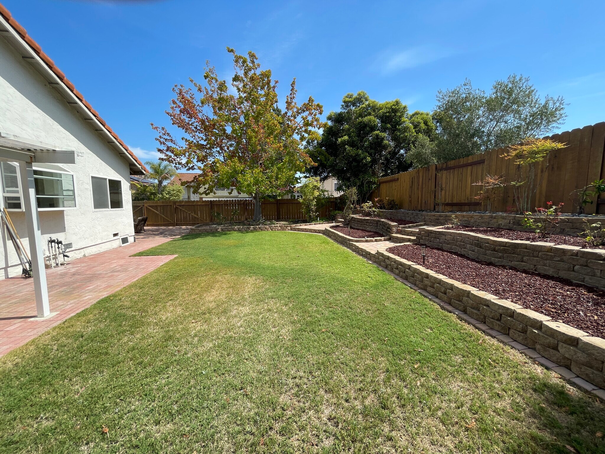 Building Photo - 1543 Calle Violetas