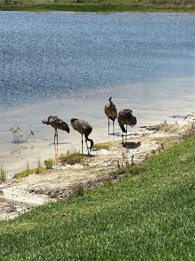 Building Photo - 9734 SW Meridian Wy