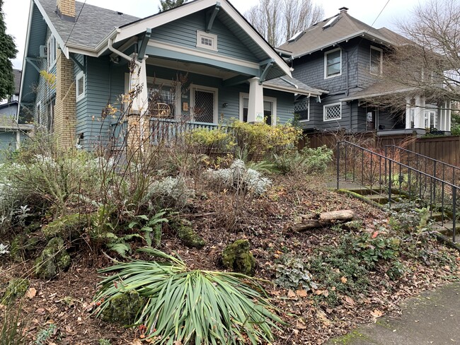 Backyard habitat certified yard! - 2814 SE Yamhill St