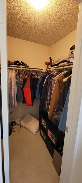 Building Photo - 8024 Caminito Gianna