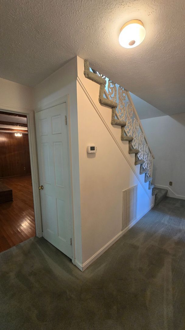 Building Photo - 4 Bed/2.5 Bath Brick Home - Kingsport TN
