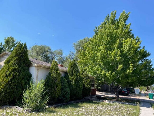 Building Photo - 1773 Palmer Park Blvd
