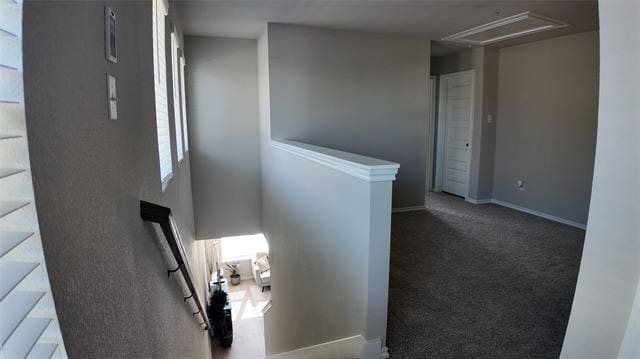 Building Photo - 2944 Baneberry Ln