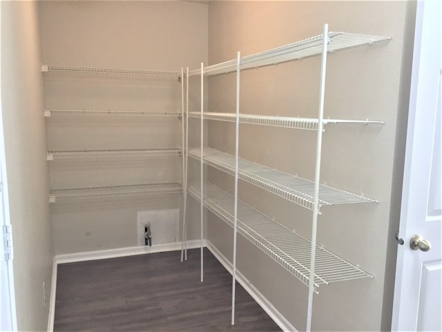 Building Photo - 3225 Capsella Ln