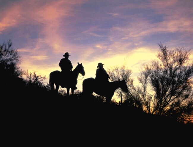 Building Photo - 7401 N Scottsdale Rd