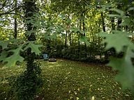 Firepit - 176 Woodland Ave