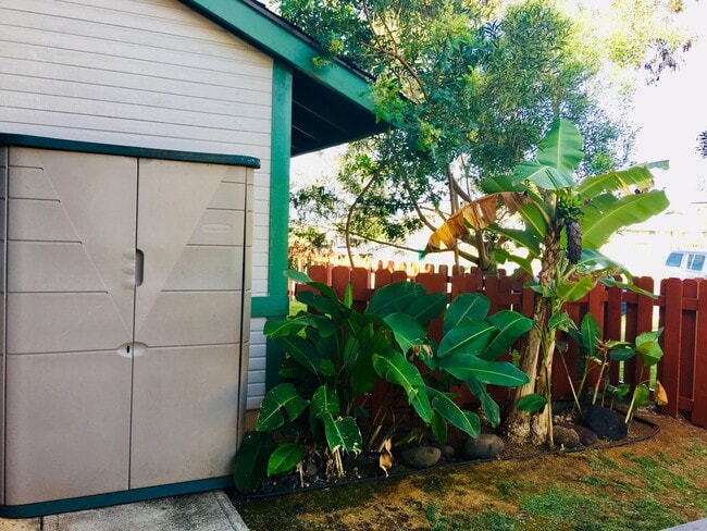 Building Photo - 3 bedroom Corner Unit at Kuulako Available June 23rd