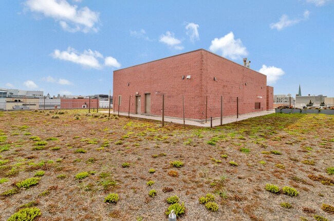 Building Photo - 1117 10th St NW