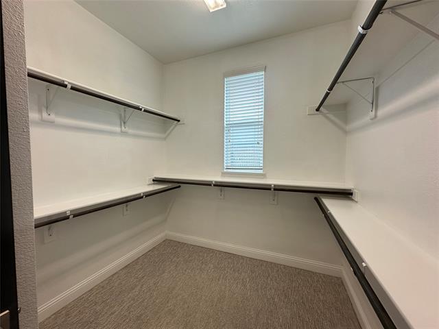 Building Photo - 7105 Royal View Dr