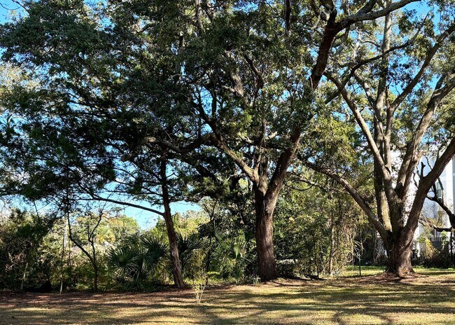 Building Photo - Available 7/10. Gorgeous Custom-Built 3 BR/3.5 BA Home on HUGE Corner Lot in Old Mt Pleasant!