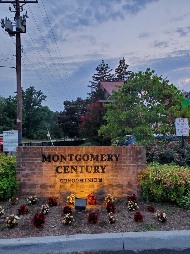 Beautiful 2 bd condo in serene Kensington neighborhood - 3133 University Blvd W
