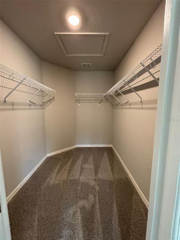 Building Photo - 1850 Daystar Dr