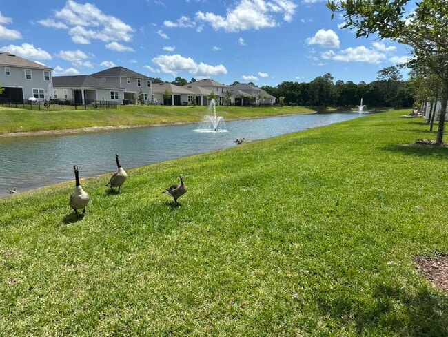 Building Photo - 754 Cherry Elm Dr