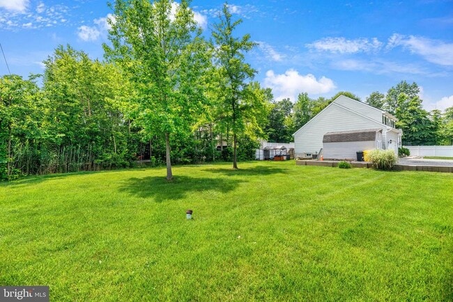 Building Photo - 523 Lincoln Dr