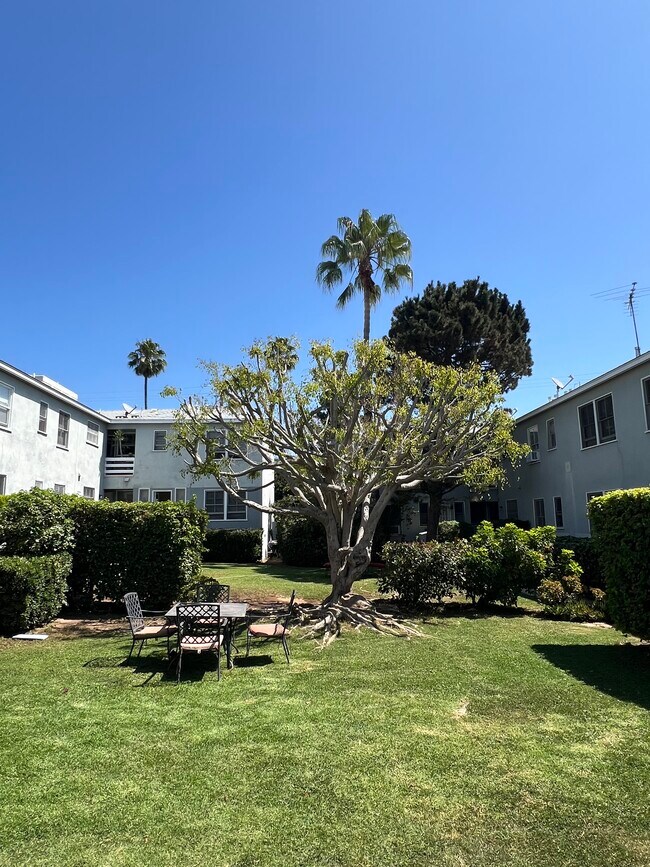 Yard and garden area - 1252 Franklin St