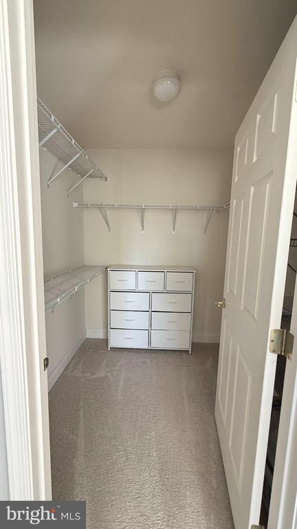 Building Photo - 19913 Naples Lakes Terrace