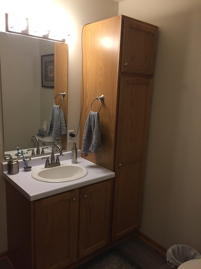 Master Bath - 611 Wellington Dr