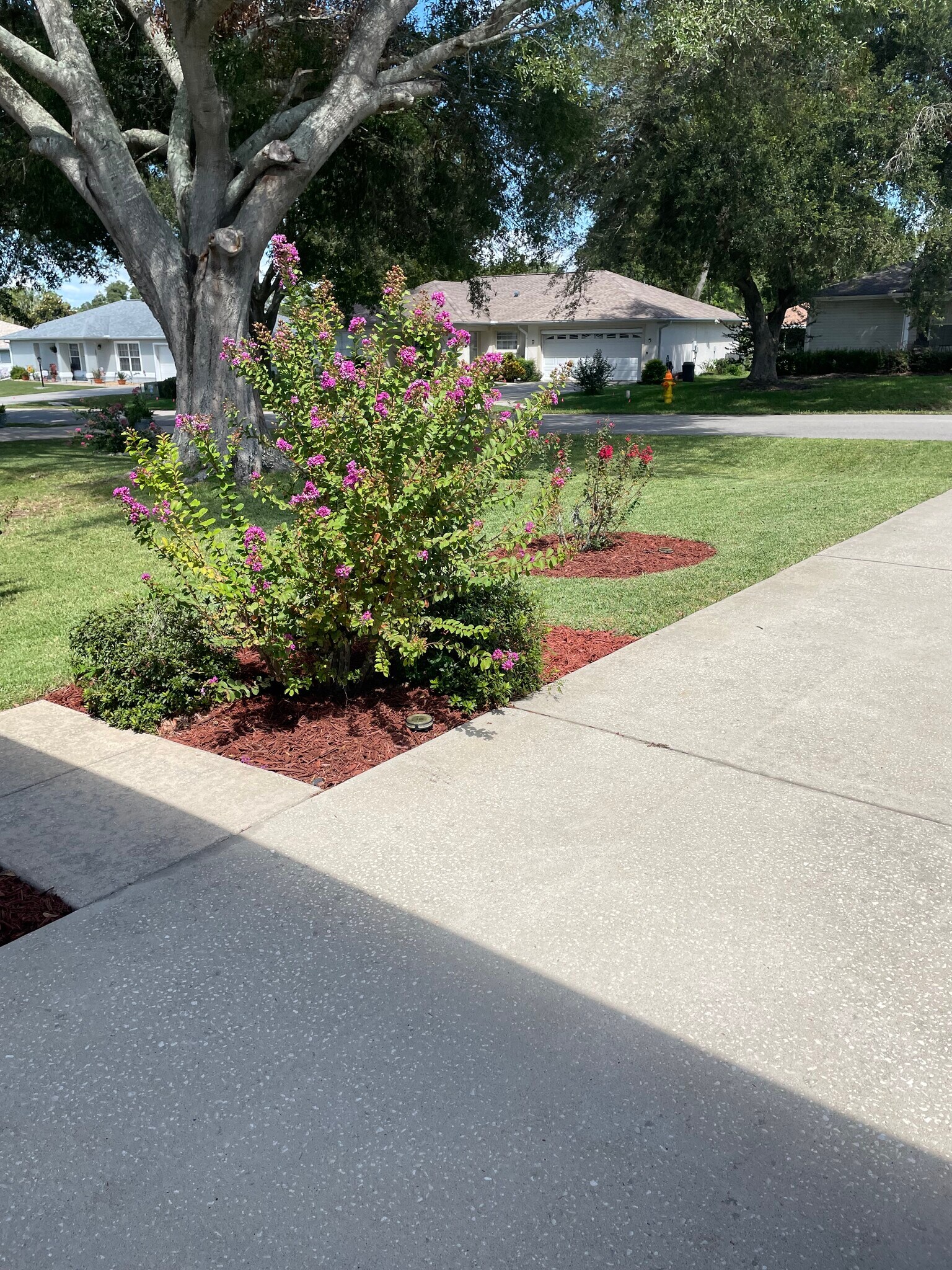 Building Photo - 6126 SW 84th Place Rd