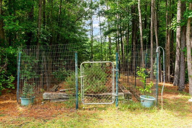 Building Photo - 51 Loblolly Ct