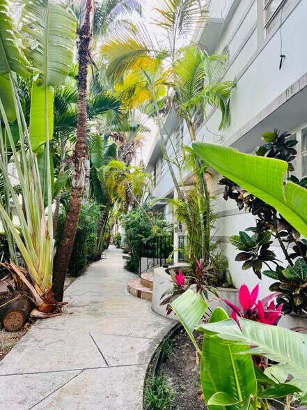 Tropical landscaping outside the front door - 901 Euclid Ave
