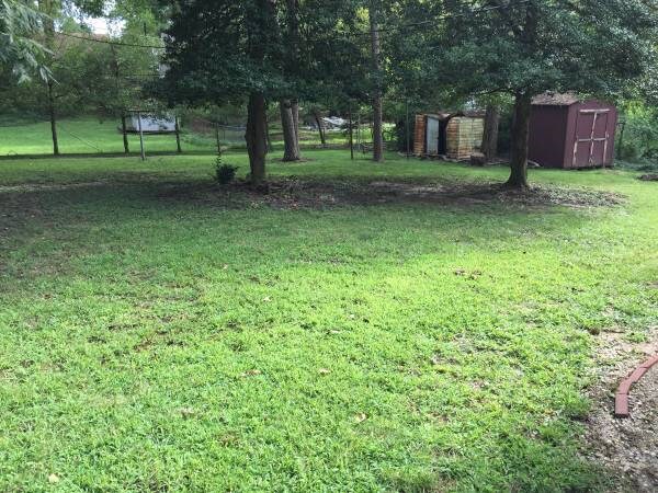 Building Photo - 2315 Albright Dr