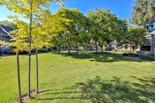Grounds 2 - 274 Shadow Run Dr