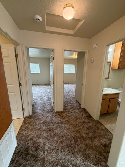 Building Photo - 1736 Medart Ln