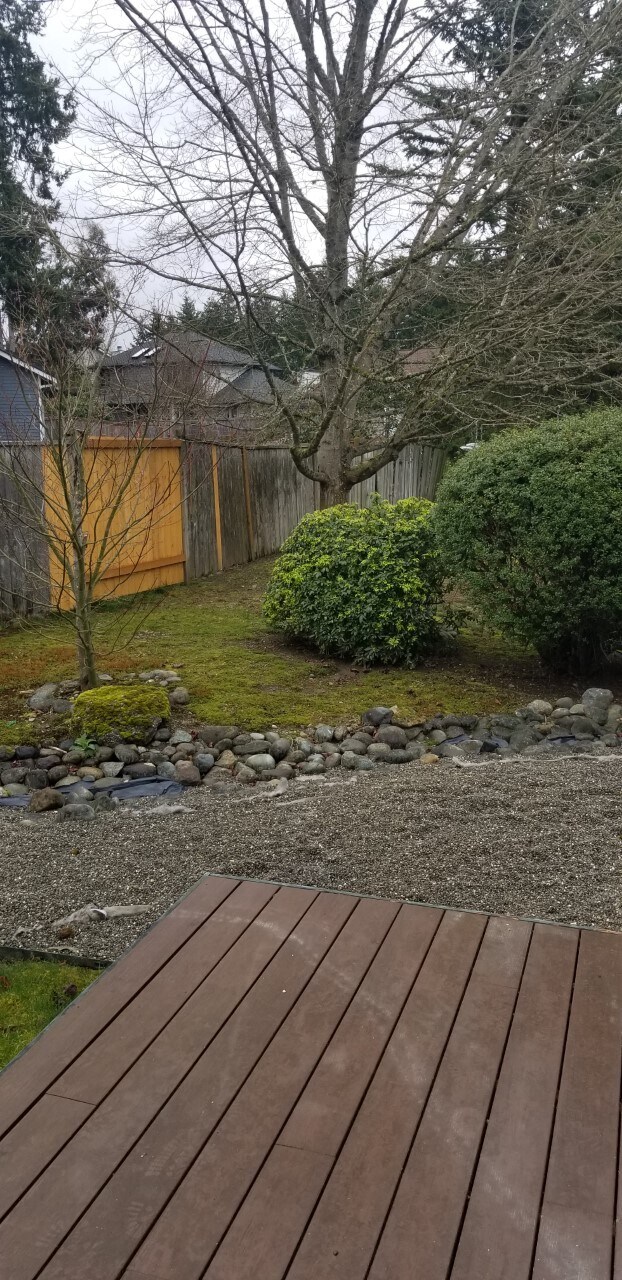 Patio and backyard - 10615 Hillsboro Dr NW